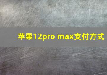 苹果12pro max支付方式